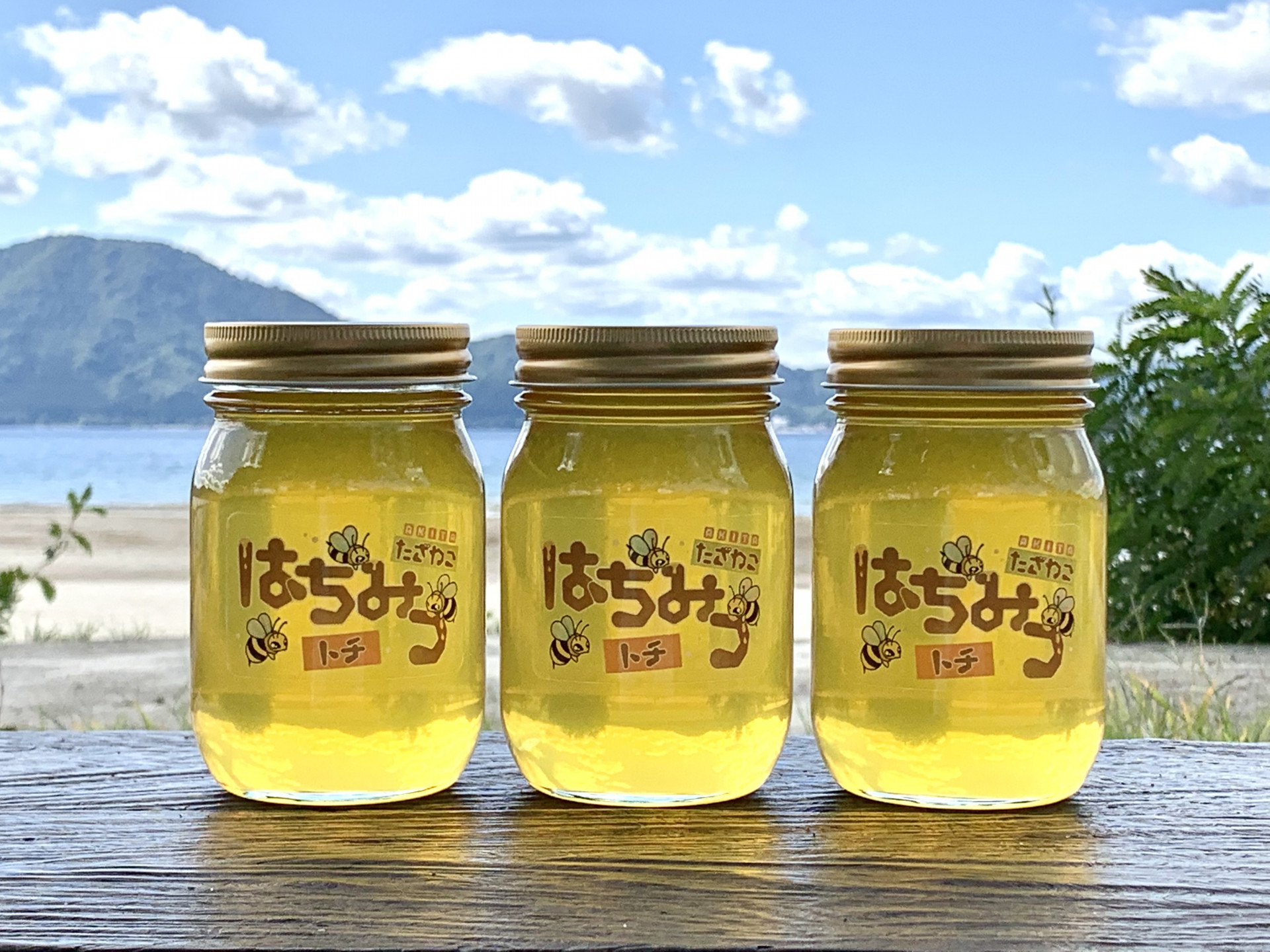 2020年10月2日 三重県在住