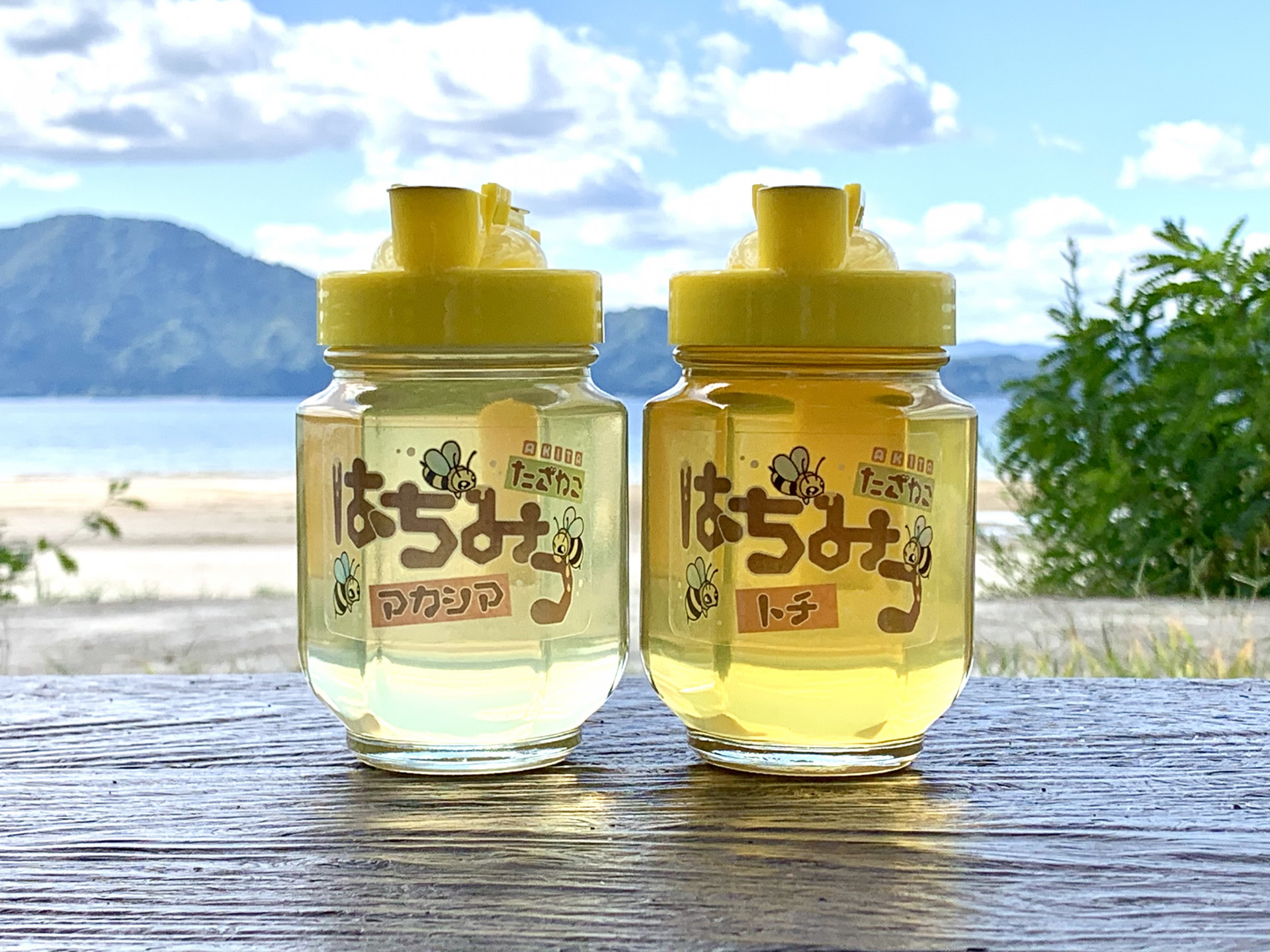 2020年05月03日 神奈川県在住