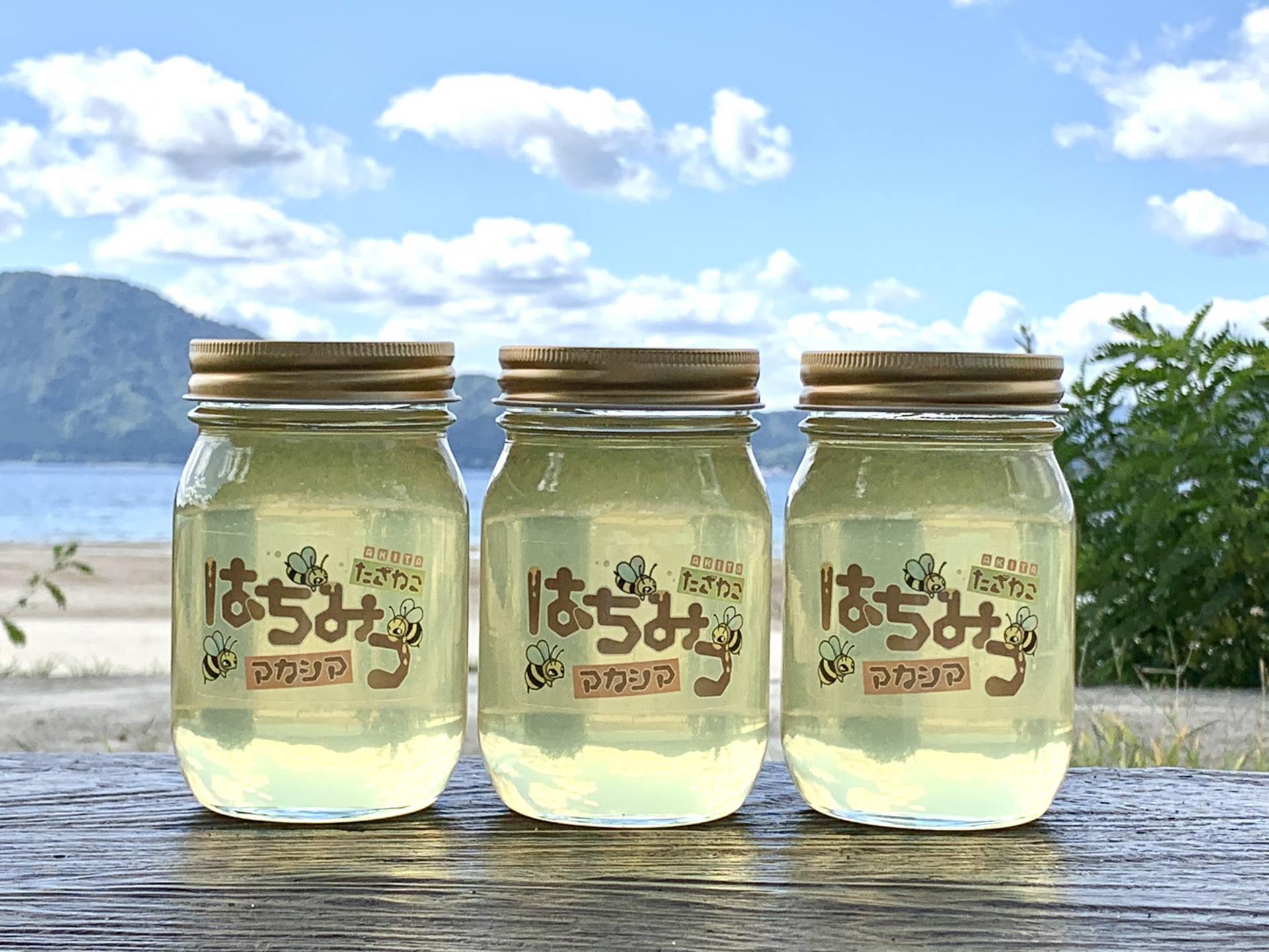 2020年2月29日 東京都在住