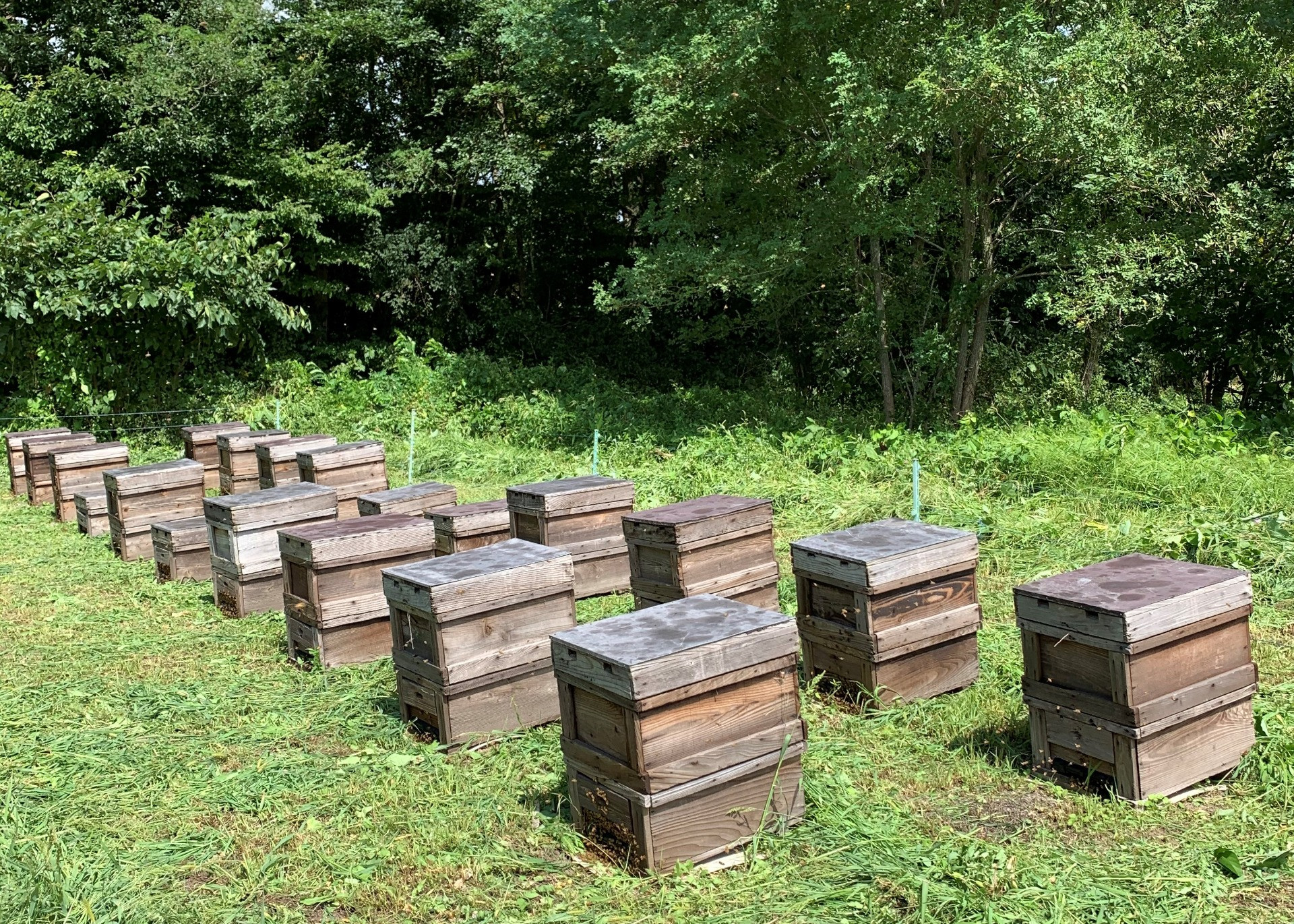 田沢湖養蜂場